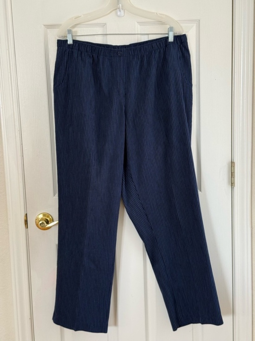 Alfred Dunner Navy and Light Blue Pinstriped Pull-On Pants